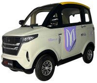 X5 E - Elektro Microcar 25 oder 45km/h Mokick 2-Personen 60V/80Ah - verschiedene Farben