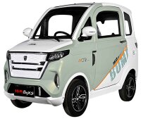 X5 E - Elektro Microcar 25 oder 45km/h Mokick 2-Personen 60V/80Ah - verschiedene Farben
