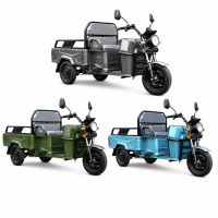 CargoTrike B03 Elektro-Lastendreirad 45 km/h Mokick...