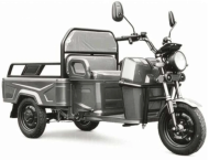 CargoTrike B03 Elektro-Lastendreirad 45 km/h Mokick 60V/32Ah mit Straßenzulassung – verschiedene Farben