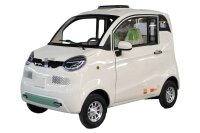 ES2 Elektro Microcar Side-by-Side - 45 km/h mit Straßenzulassung – 2-Sitzer, 72V/58Ah Kabinenroller - Verschiedene Farben