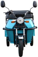 CargoTrike B03 Elektro-Lastendreirad 25 km/h 60V/32Ah mit Straßenzulassung – verschiedene Farben