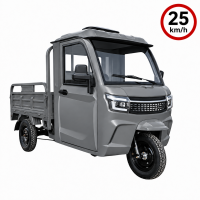 CargoTrike KH1 Elektro-Lastendreirad mit Kabine &...