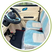 Elektro Pick-Up Cargo PK2 72V/100Ah Akku Blei-Gel Kippmulde 45km/h Version 2-Personen Straßenzulassung - verschiedene Farben