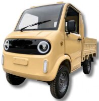 Elektro Pick-Up Cargo PK2 72V/100Ah Akku Blei-Gel Kippmulde 45km/h Version 2-Personen Straßenzulassung - verschiedene Farben