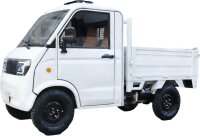 Elektro Pick-Up Cargo PK1 (A41) 72V/100Ah LiFeP04 Akku 45km/h Version 2-Personen Straßenzulassung - verschiedene Farben