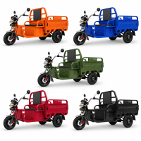 C06 Cargotrike - E-Lastendreirad 45 km/h mit...