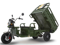 C06 Cargotrike - E-Lastendreirad 45 km/h mit Straßenzulassung – 72V/45Ah Akku, Kippmulde - Verschiedene Farben