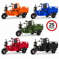 C06 Cargotrike - E-Lastendreirad 25 km/h mit...