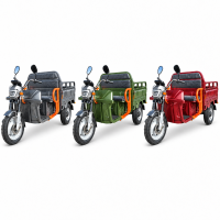 CargoTrike NC09 Cargo 500 Elektro-Lastendreirad –...