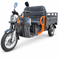 CargoTrike NC09 Cargo 500 Elektro-Lastendreirad –...