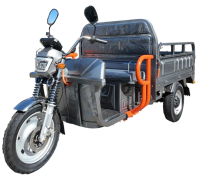 CargoTrike NC09 Cargo 500 Elektro-Lastendreirad – 45 km/h, 72V/58Ah Akku, 70–80 km Reichweite, Straßenzulassung - verschiedene Farben