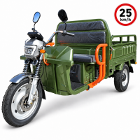 CargoTrike NC09 Cargo 500 Elektro-Lastendreirad – 25 km/h, 72V/58Ah Akku, 70–80 km Reichweite, Straßenzulassung - verschiedene Farben