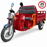 CargoTrike NC09 Cargo 500 Elektro-Lastendreirad – 25 km/h, 72V/58Ah Akku, 70–80 km Reichweite, Straßenzulassung - verschiedene Farben