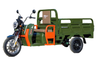 CargoTrike NC09 Cargo 500 Elektro-Lastendreirad – 25 km/h, 72V/58Ah Akku, 70–80 km Reichweite, Straßenzulassung - verschiedene Farben