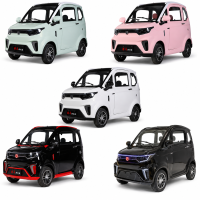 X9 Elektro Microcar Side-by-Side - 45 km/h 72V/100Ah mit Straßenzulassung Kabinenroller – 2-Sitzer - verschiedene Farben