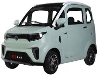 X9 Elektro Microcar Side-by-Side - 45 km/h 72V/100Ah mit Straßenzulassung Kabinenroller – 2-Sitzer - verschiedene Farben