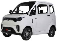 X9 Elektro Microcar Side-by-Side - 45 km/h 72V/100Ah mit Straßenzulassung Kabinenroller – 2-Sitzer - verschiedene Farben