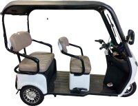 ES3 Elektro-Dreirad 25 km/h mit Dach – Seniorenmobil - Blei-Gel Akku oder Lithium Akku - fest verbaut oder herausnehmbar - verschiedene Farben