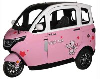 Microcar X3 Elektro Kabinenroller – 45 km/h – 2-Sitzer – 60V/80Ah – verschiedene Farben