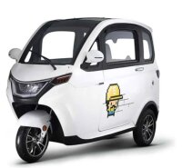 Microcar X3 Elektro Kabinenroller – 45 km/h – 2-Sitzer – 60V/80Ah – verschiedene Farben