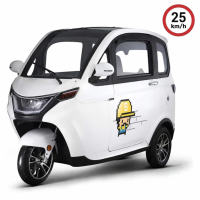 X3 Elektro Microcar Kabinenroller – 25 km/h – 2-Sitzer – 60V/80Ah – verschiedene Farben