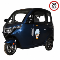 X3 Elektro Microcar Kabinenroller – 25 km/h –...