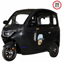 X3 Elektro Microcar Kabinenroller – 25 km/h – 2-Sitzer – 60V/80Ah – verschiedene Farben