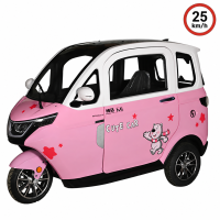 X3 Elektro Microcar Kabinenroller – 25 km/h – 2-Sitzer – 60V/80Ah – verschiedene Farben
