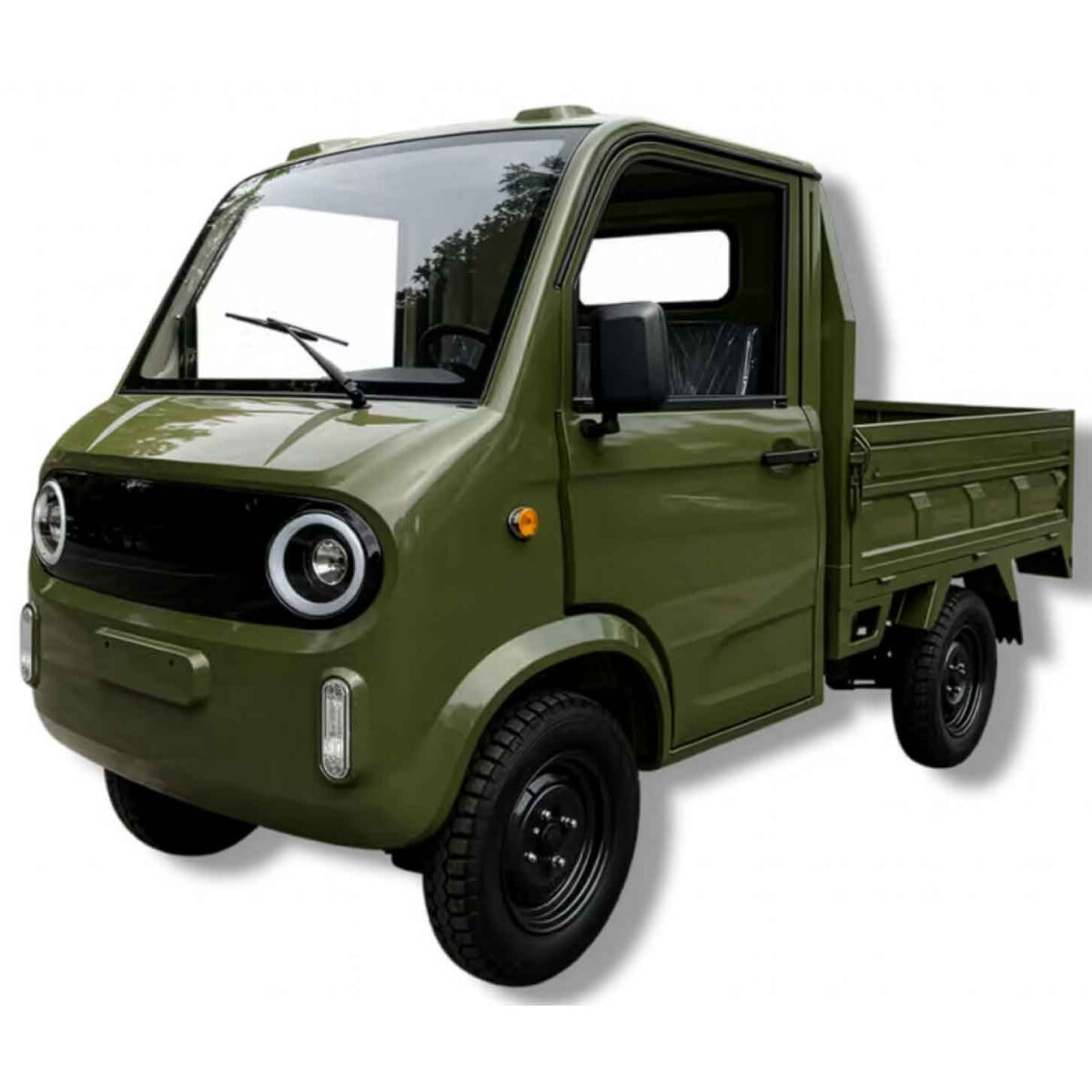 Elektro-Pick-up